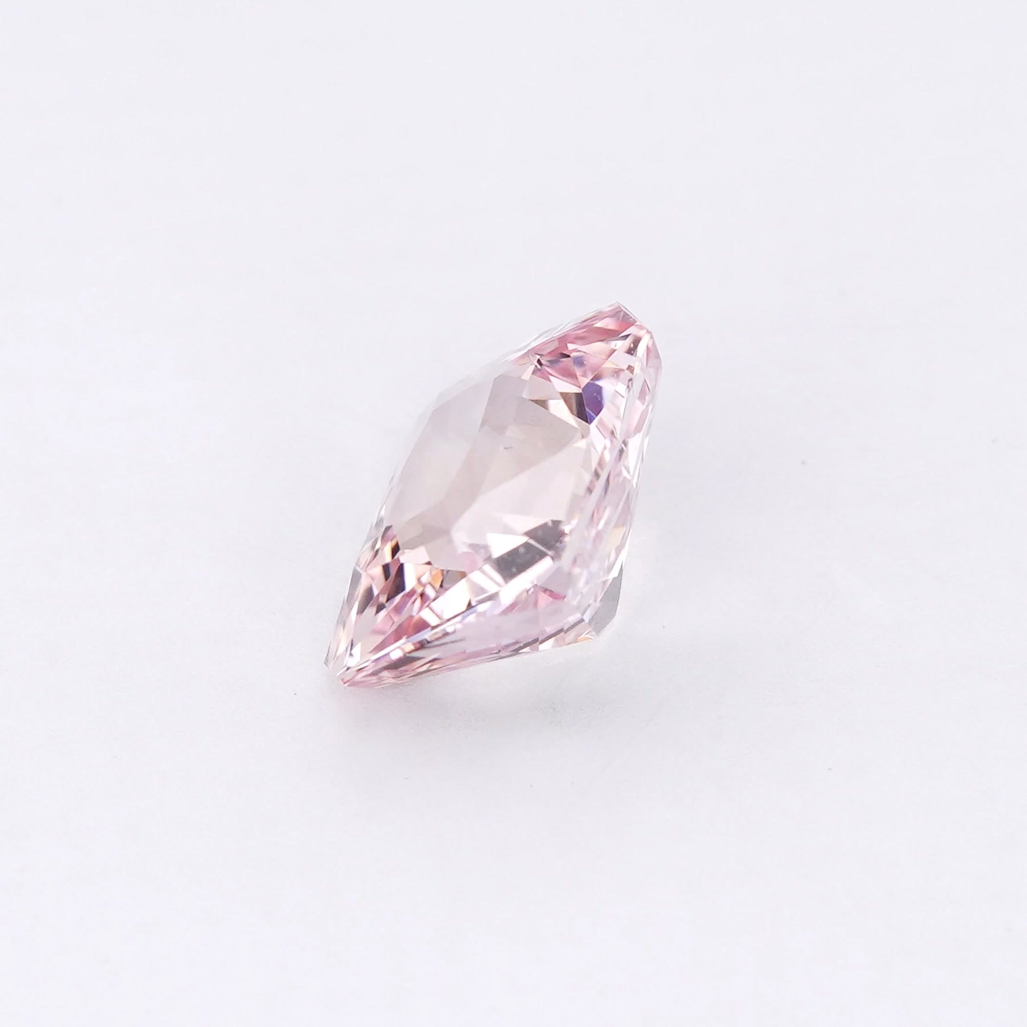 Rose Radiant thumbnail 2