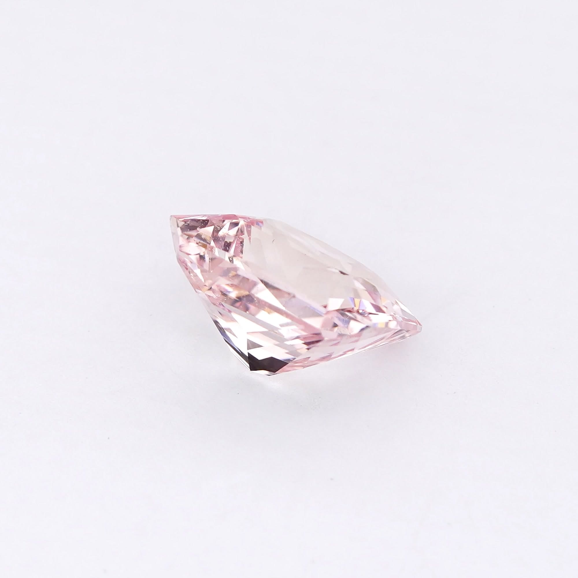 Rose Radiant thumbnail 5