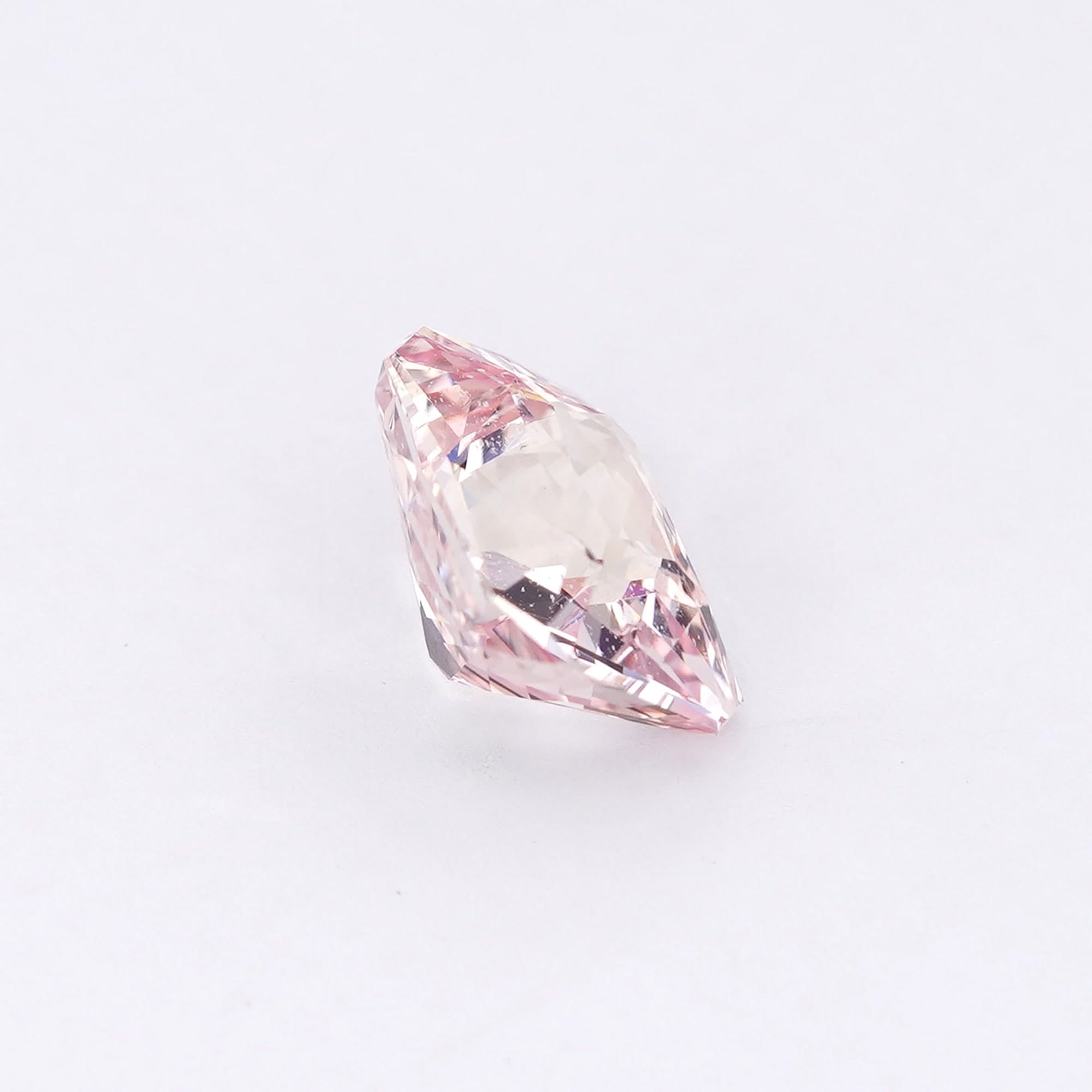 Rose Radiant thumbnail 6