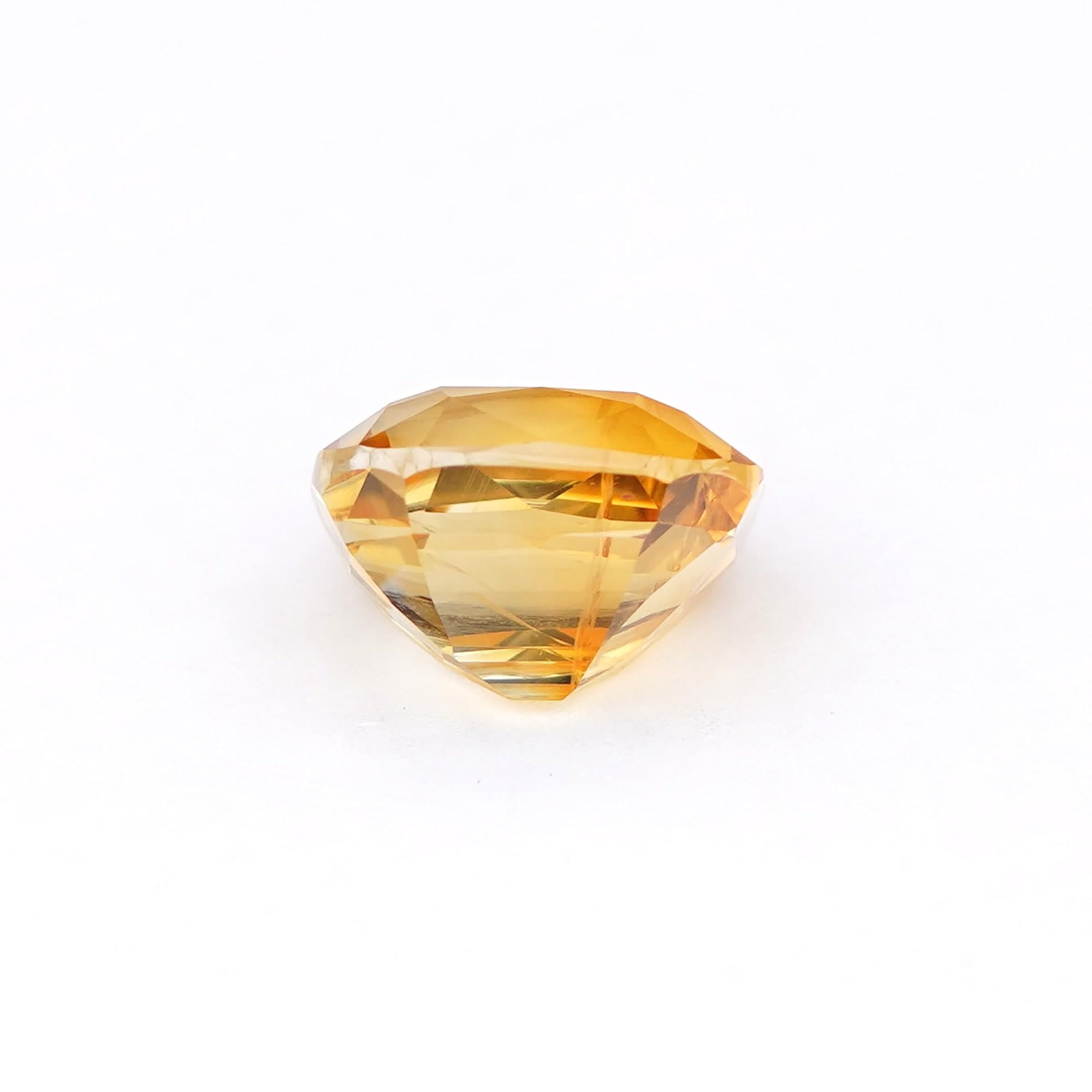 Golden Cushion thumbnail 6