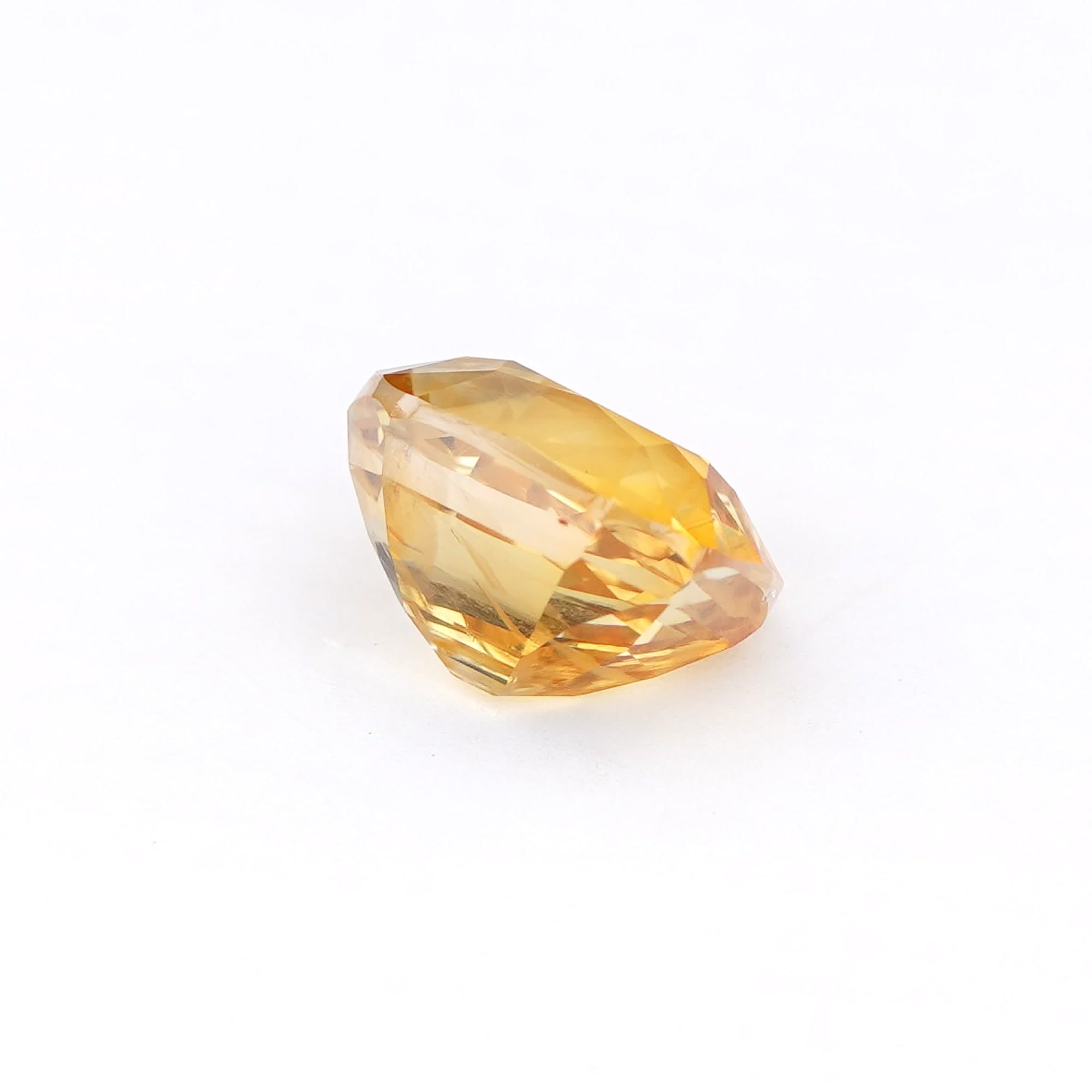 Golden Cushion thumbnail 7