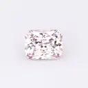 Rose Radiant thumbnail 2