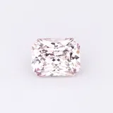 Rose Radiant thumbnail 2