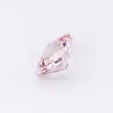 Rose Radiant thumbnail 3