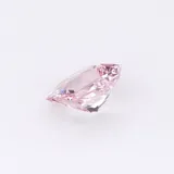 Rose Radiant thumbnail 4