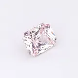 Rose Radiant thumbnail 9
