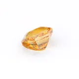 Golden Cushion thumbnail 6