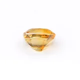 Golden Cushion thumbnail 7