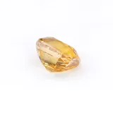 Golden Cushion thumbnail 8