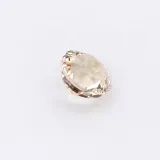 Soft Peach Round thumbnail 9